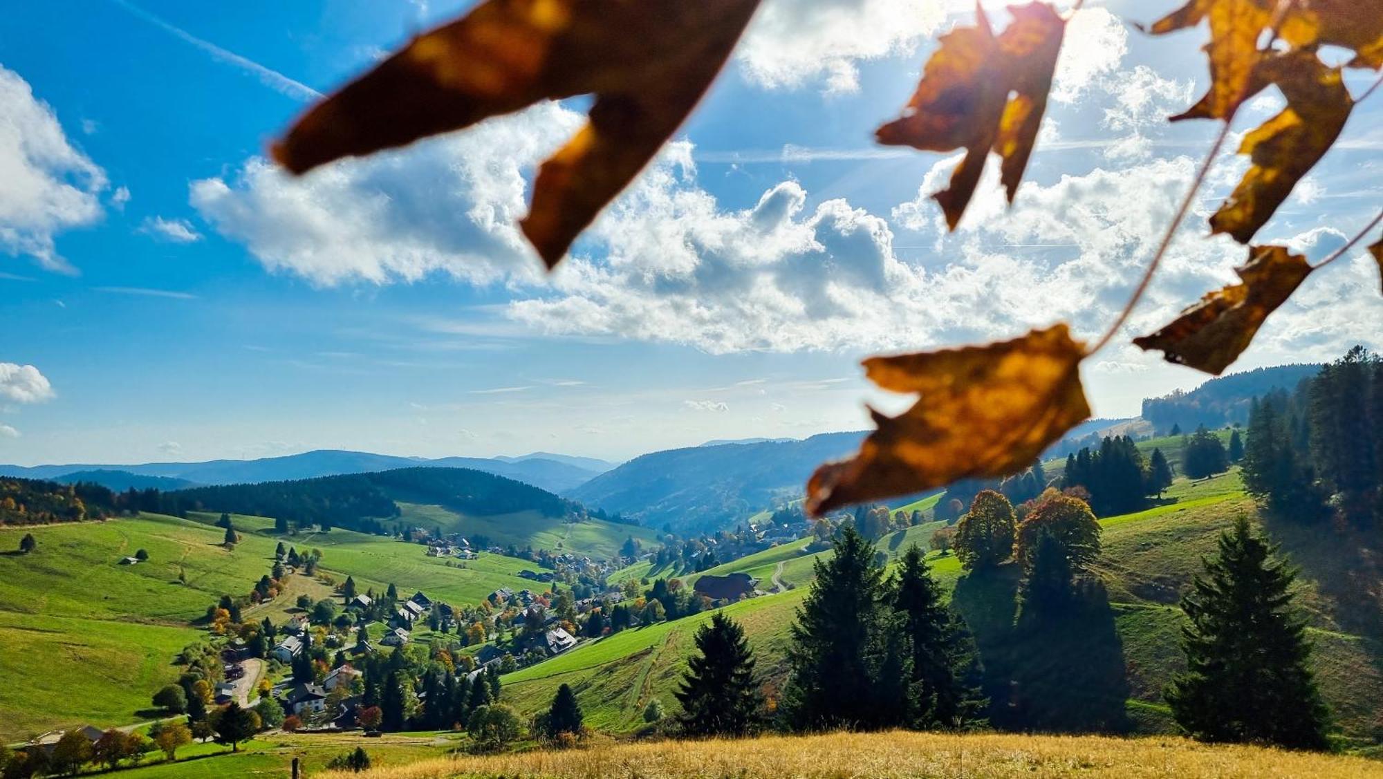 "Schwarzwaldblick" Ferienwohnung 2-4 Pers 65Qm, Schoene Ruhige Suedhanglage Mit Herrl Aussicht Todtnau Exterior photo